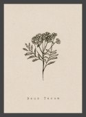 Beżowy miniplakat z czarną grafiką rośliny polnej. Pod nią słowa Deus Tecum