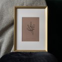 Brązowy miniplakat z czarną grafiką rośliny polnej. Pod nią słowa Gratia Plena. Oprawiony w białe passe-parotut i złotą ramę.