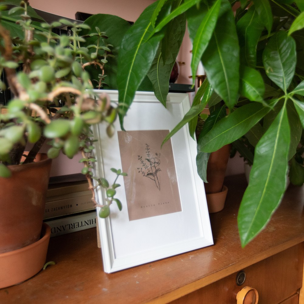 Brązowy miniplakat z czarną grafiką rośliny polnej. Pod nią słowa Gratia Plena. Oprawiony w białe passe-parotut i białą frezowaną ramę.